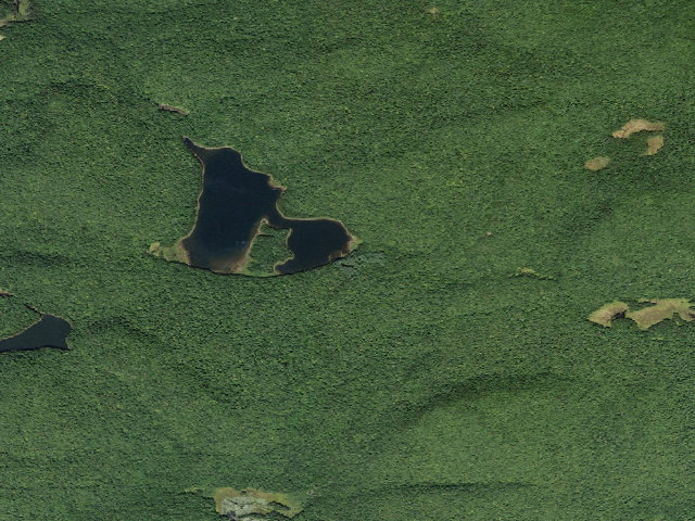Aerial image of G Lake #1 (Ferris Lake Wild Forest)