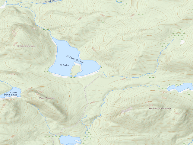 USGS topographic map of G Lake #1 (Ferris Lake Wild Forest)
