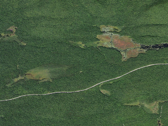 Aerial image of G Lake Road #1 (Ferris Lake Wild Forest)