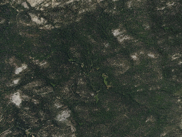 Aerial image of Gaggs Camp