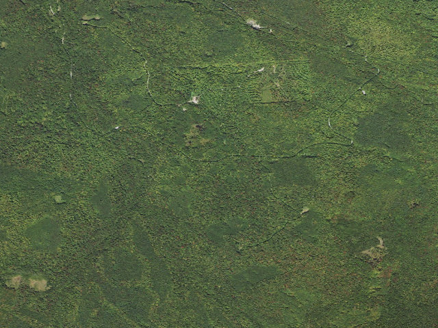 Aerial image of Gale River Loop