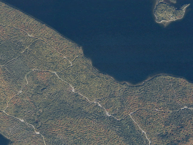 Aerial image of Galusha Cove (Moosehead Lake Shoreline Public Land)