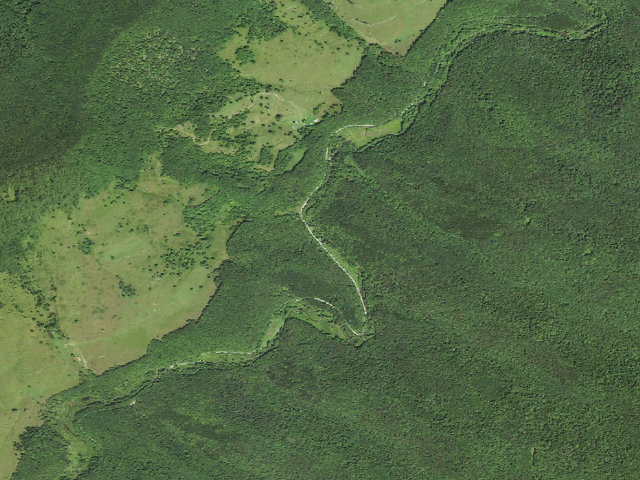 Aerial image of Gandy Creek Camping Area