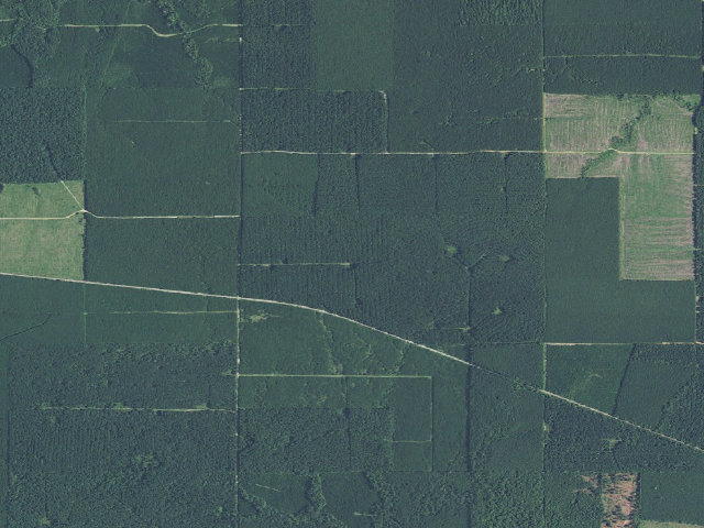 Aerial image of Gardiner Camping Spot (Herron Family WMA)