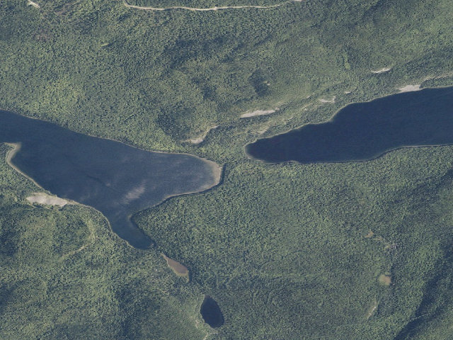 Aerial image of Gardner East (Deboullie Public Land)