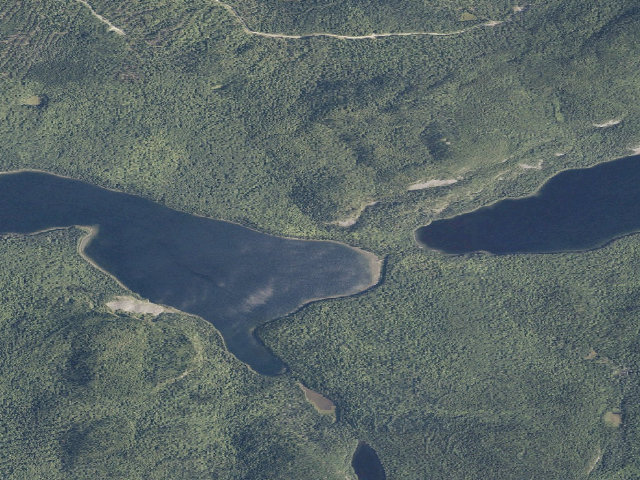 Aerial image of Gardner North (Deboullie Public Land)