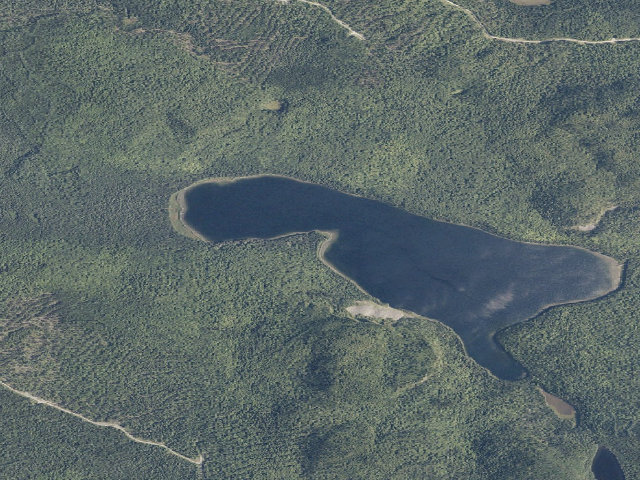 Aerial image of Gardner Point (Deboullie Public Land)
