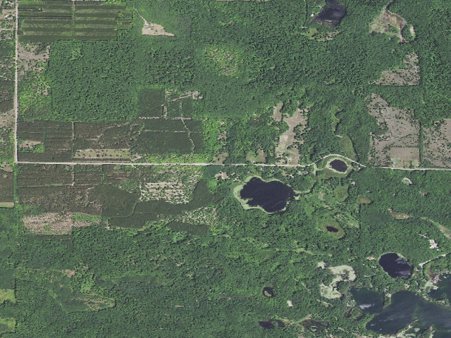 Aerial image of Garey Lake State Forest Campground