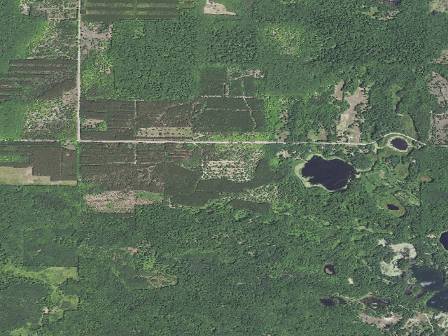 Aerial image of Garey Lake Trail Camp