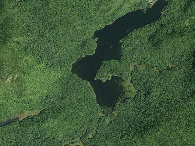 Aerial image of Garnet Lake Campsite #4 (Wilcox Lake Wild Forest)