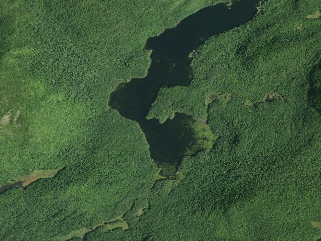 Aerial image of Garnet Lake Campsite #5 (Wilcox Lake Wild Forest)