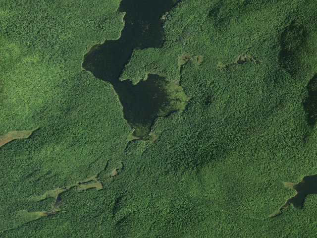 Aerial image of Garnet Lake Campsite #6 (Wilcox Lake Wild Forest)