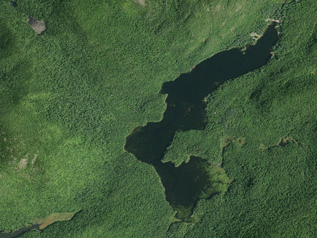 Aerial image of Garnet Lake Campsite #7 (Wilcox Lake Wild Forest)