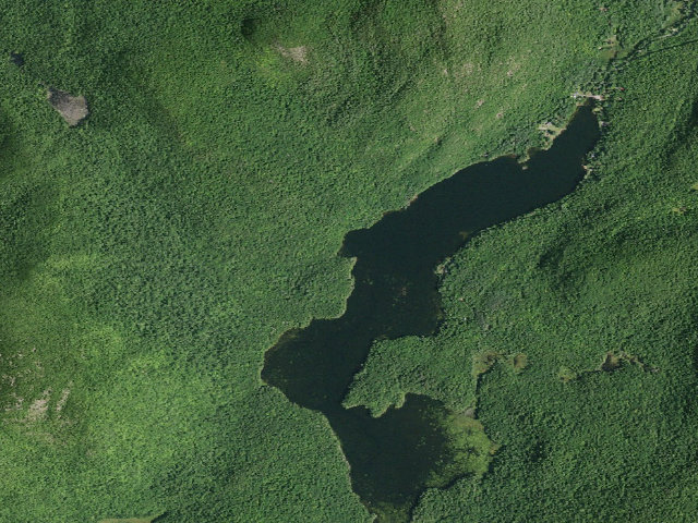 Aerial image of Garnet Lake Campsite #8 (Wilcox Lake Wild Forest)