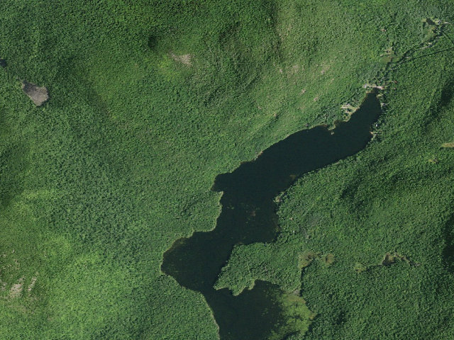 Aerial image of Garnet Lake Campsite #9 (Wilcox Lake Wild Forest)