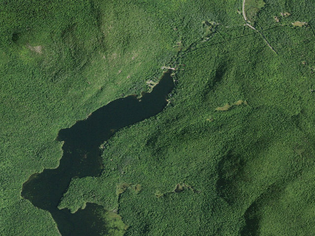 Aerial image of Garnet Lake Rd #2 Campsite (Wilcox Lake Wild Forest)