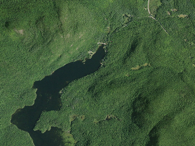 Aerial image of Garnete Lake Rd #1 Campsite (Wilcox Lake Wild Forest)