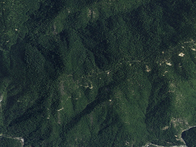 Aerial image of Gaston