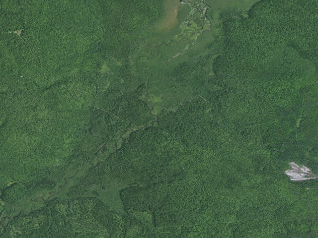 Aerial image of Gate Road Campsite 1 [DEC #15773] (Chazy Highlands Wild Forest)