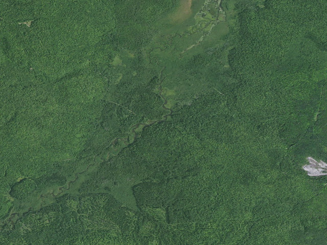 Aerial image of Gate Road Campsite 2 [DEC #15772] (Chazy Highlands Wild Forest)