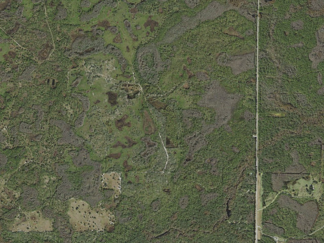 Aerial image of Gator Hole (Green Swamp Wilderness Preserve - West Tract)