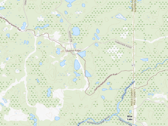 USGS topographic map of Gator Hole (Green Swamp Wilderness Preserve - West Tract)