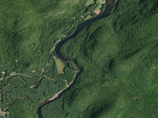 Aerial image of Gay Pond Road Campsite 12 (Lake George Wild Forest)