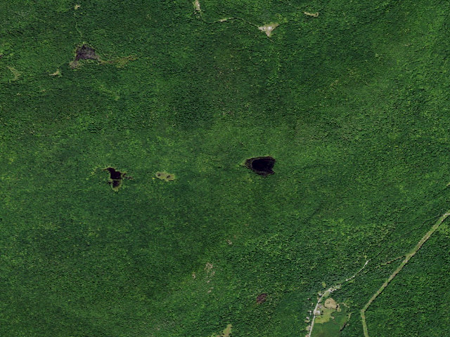 Aerial image of Gay Pond Road Campsite 16 (Lake George Wild Forest)