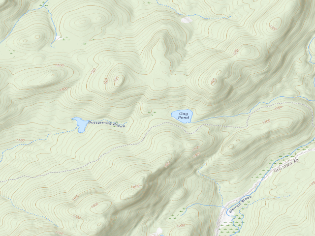 USGS topographic map of Gay Pond Road Campsite 16 (Lake George Wild Forest)