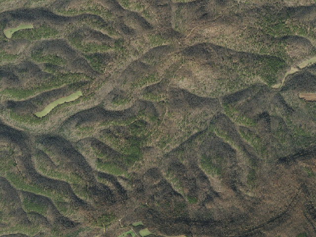 Aerial image of Gene Rush Camping Area #1