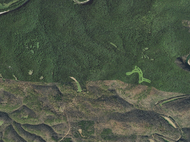 Aerial image of Gene Rush Camping Area #3