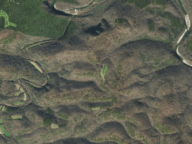 Aerial image of Gene Rush Camping Area #5