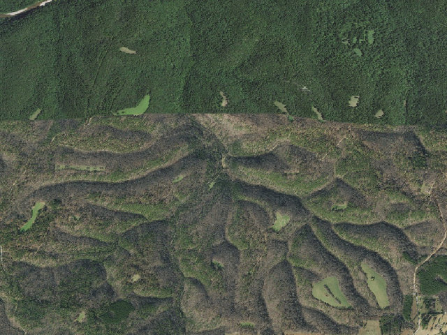 Aerial image of Gene Rush Camping Area #6