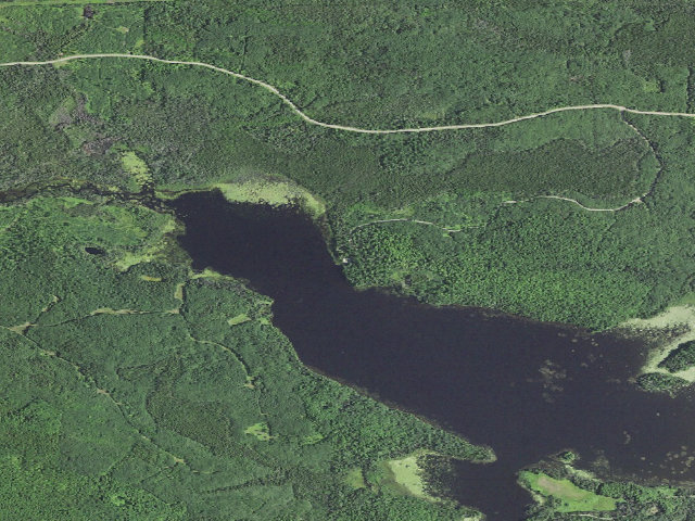 Aerial image of Gene's Pond State Forest Campground