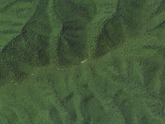 Aerial image of George Washington National Forest
