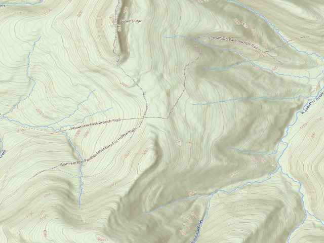 USGS topographic map of Giant Ledge Campsite 1 [DEC #228568] (Slide Mountain Wilderness)