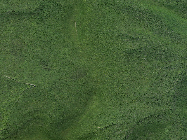 Aerial image of Giant Ledge Campsite 2 [DEC #228569] (Slide Mountain Wilderness)