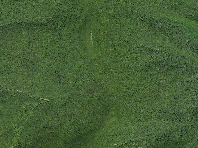 Aerial image of Giant Ledge Campsite 3 [DEC #228570] (Slide Mountain Wilderness)