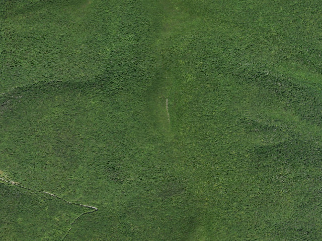 Aerial image of Giant Ledge Campsite 4 [DEC #228571] (Slide Mountain Wilderness)