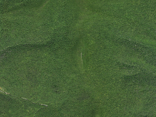 Aerial image of Giant Ledge Campsite 5 [DEC #228573] (Slide Mountain Wilderness)