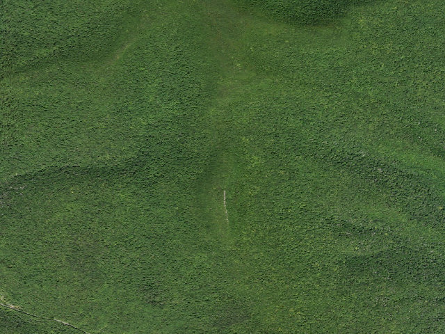 Aerial image of Giant Ledge Campsite 6 [DEC #228574] (Slide Mountain Wilderness)