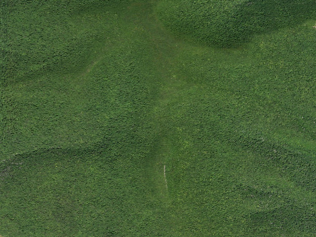 Aerial image of Giant Ledge Campsite 7 [DEC #228575] (Slide Mountain Wilderness)