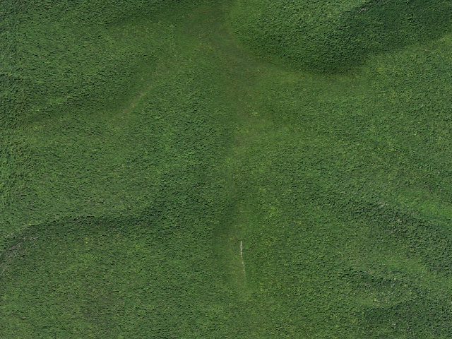 Aerial image of Giant Ledge Campsite 8 [DEC #228576] (Slide Mountain Wilderness)