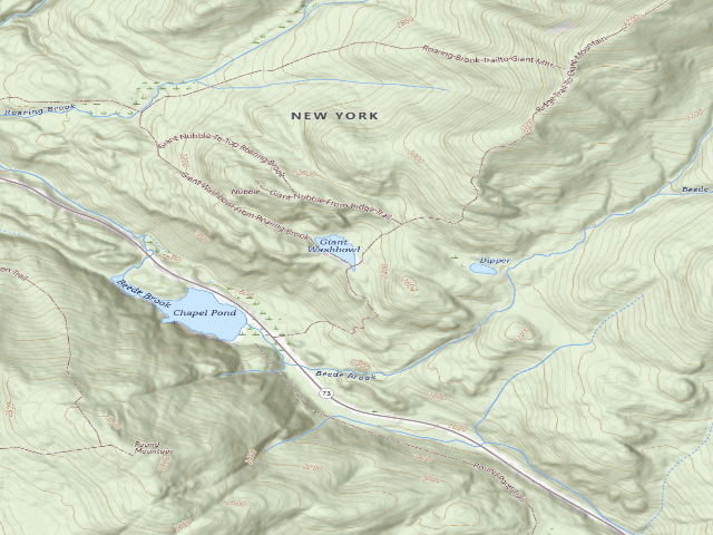 USGS topographic map of Giant'S Wash Bowl Campsite [DEC #13929] (Giant Mountain Wilderness)