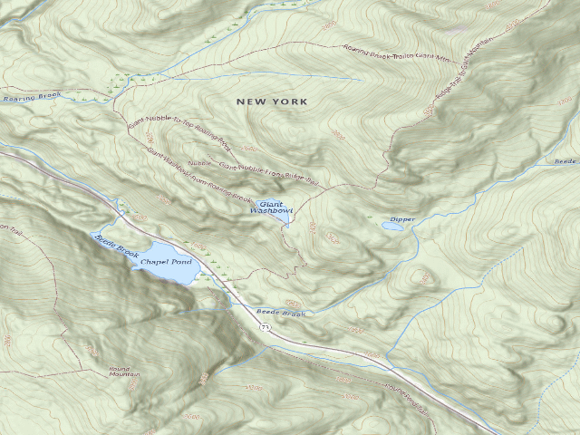 USGS topographic map of Giant'S Wash Bowl Campsite [DEC #13930] (Giant Mountain Wilderness)