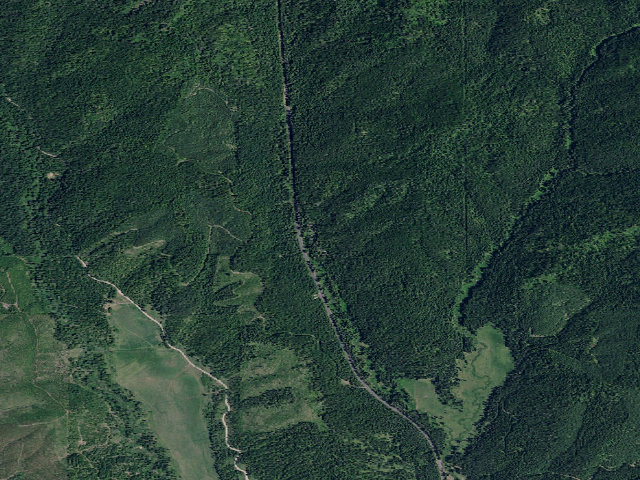 Aerial image of Giant White Pine Campground