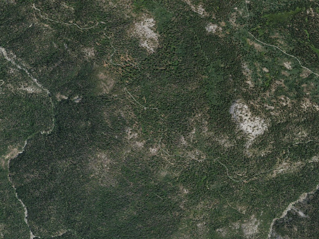 Aerial image of Gigantea