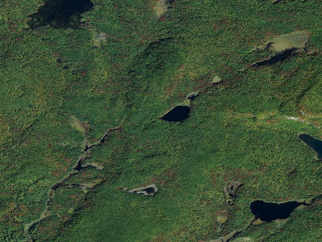 Aerial image of Glasby Pond Campsite (Five Ponds Wilderness)