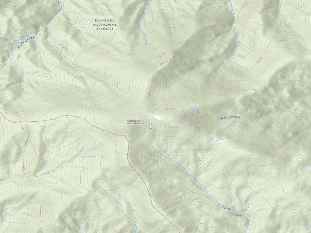 USGS topographic map of Gleason-001