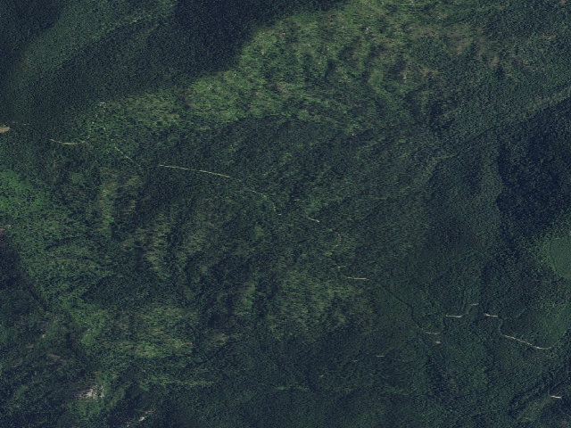Aerial image of Gleason-002